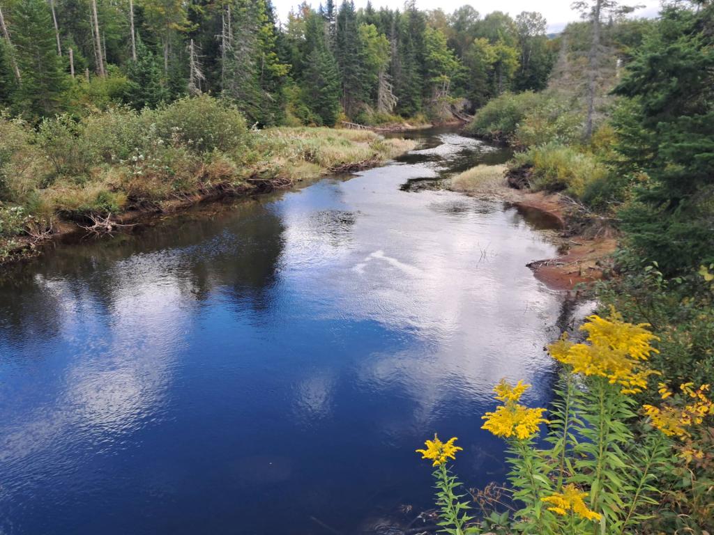 Photo: Jessup River
