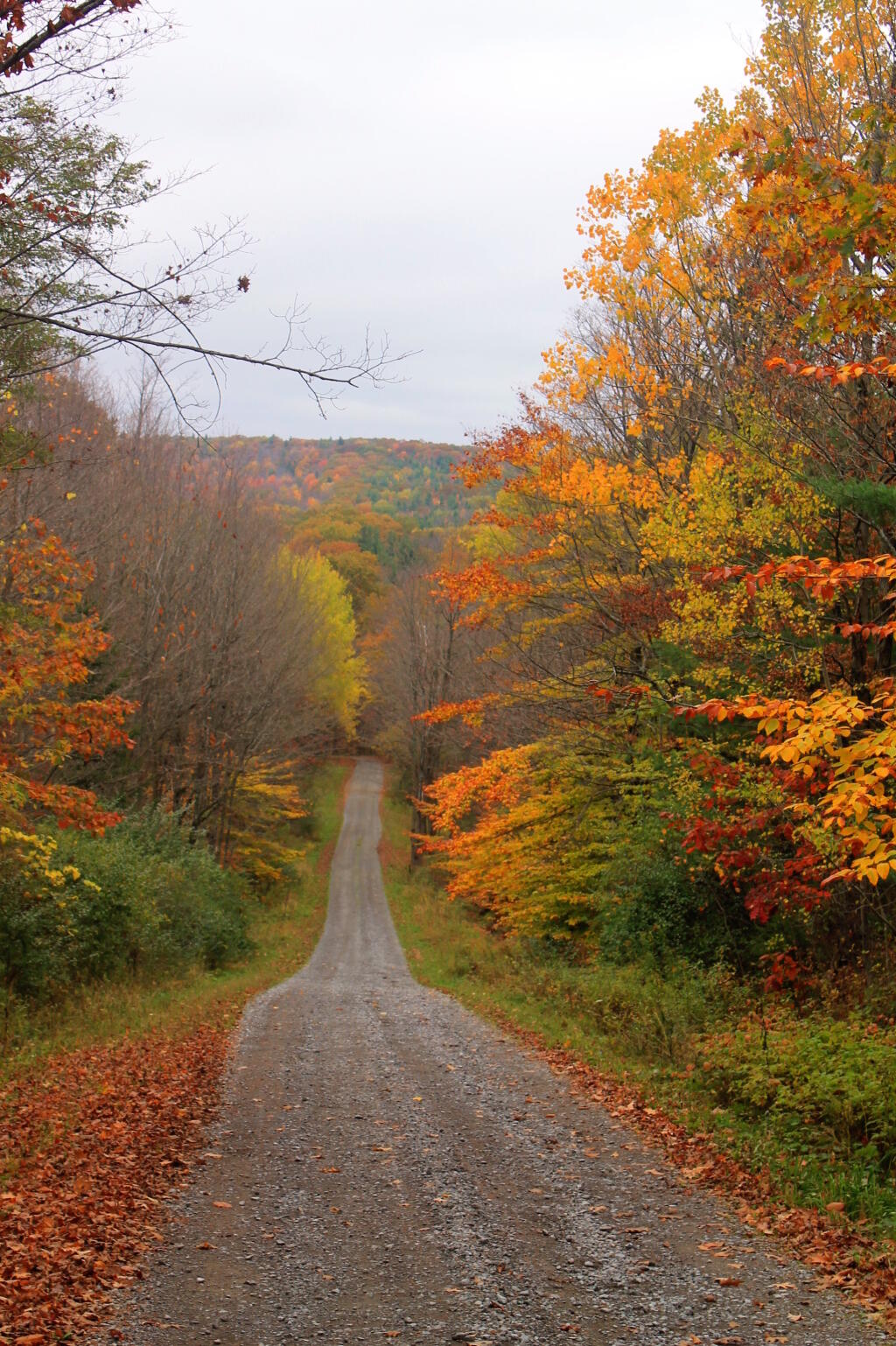 Photo: Off Dannack Hill