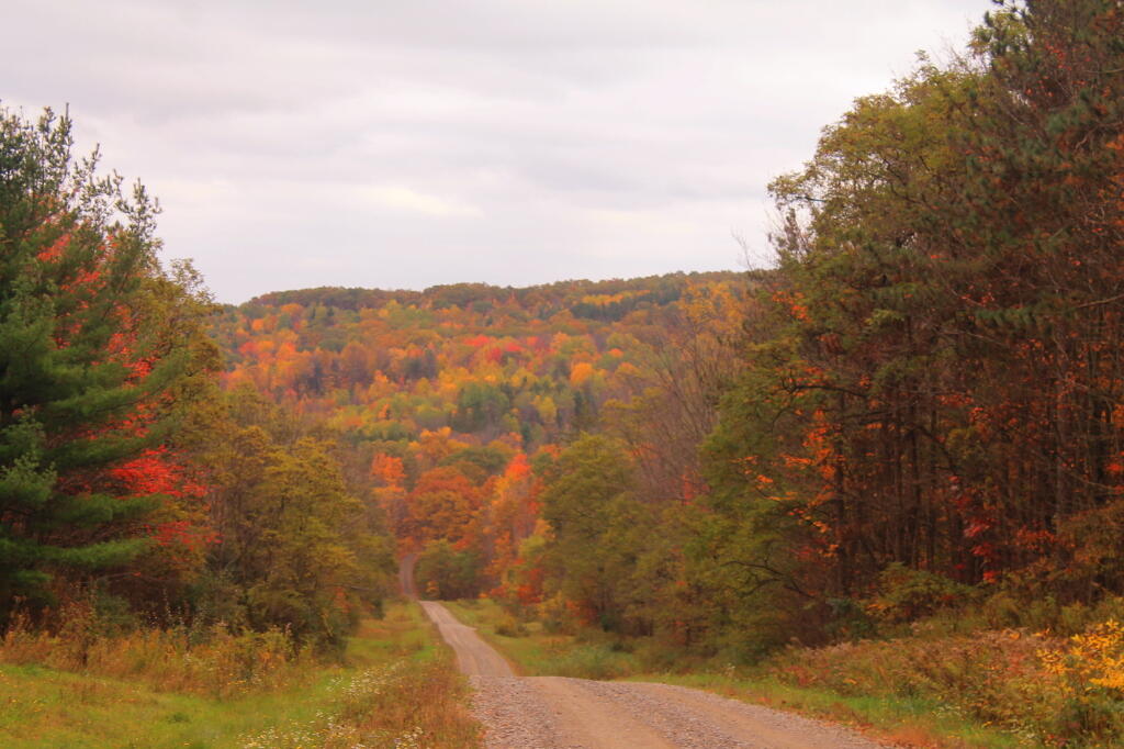 Photo: Down the Very Colorful Hill