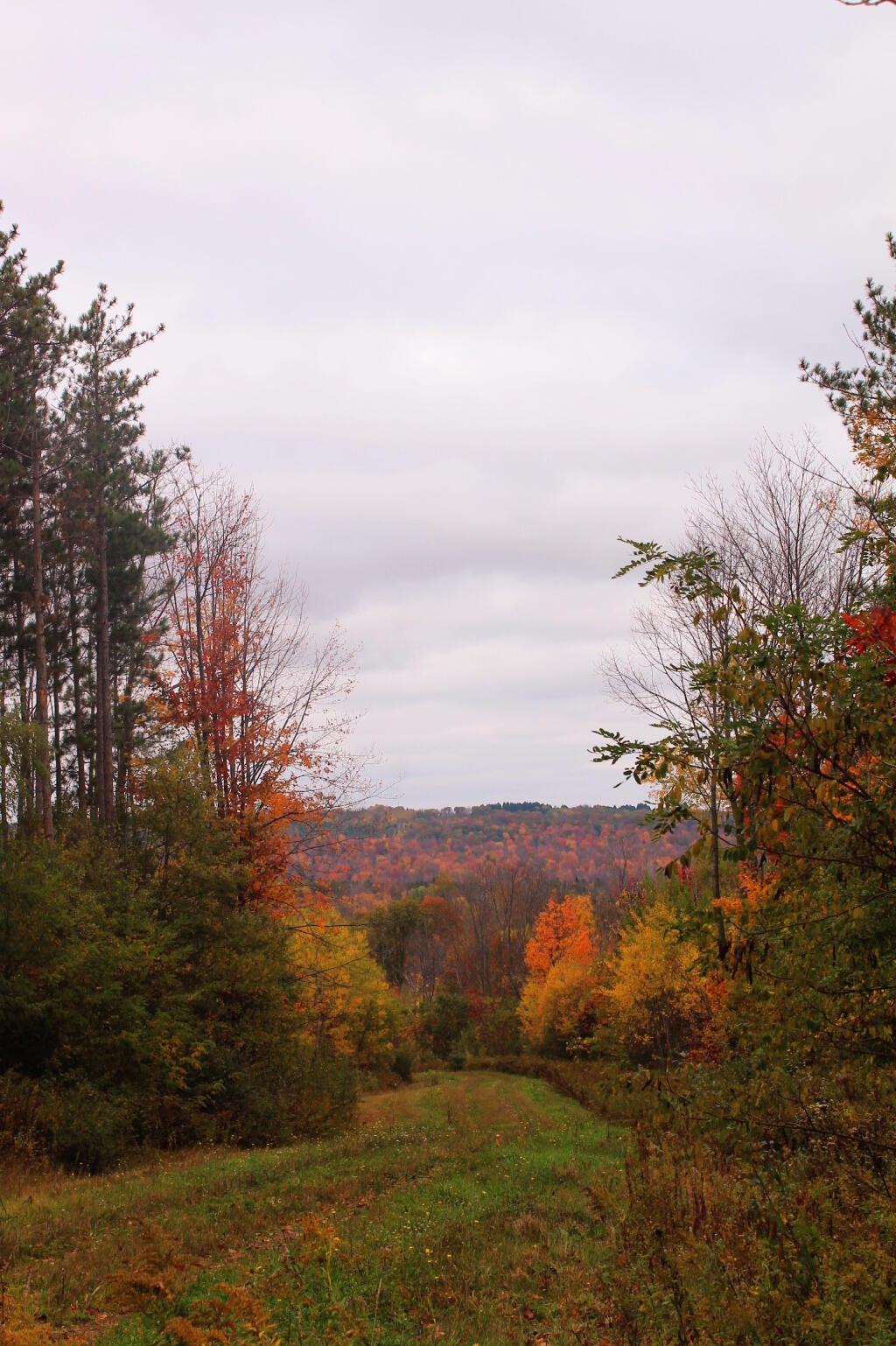 Photo: Trail Off Ebet Road
