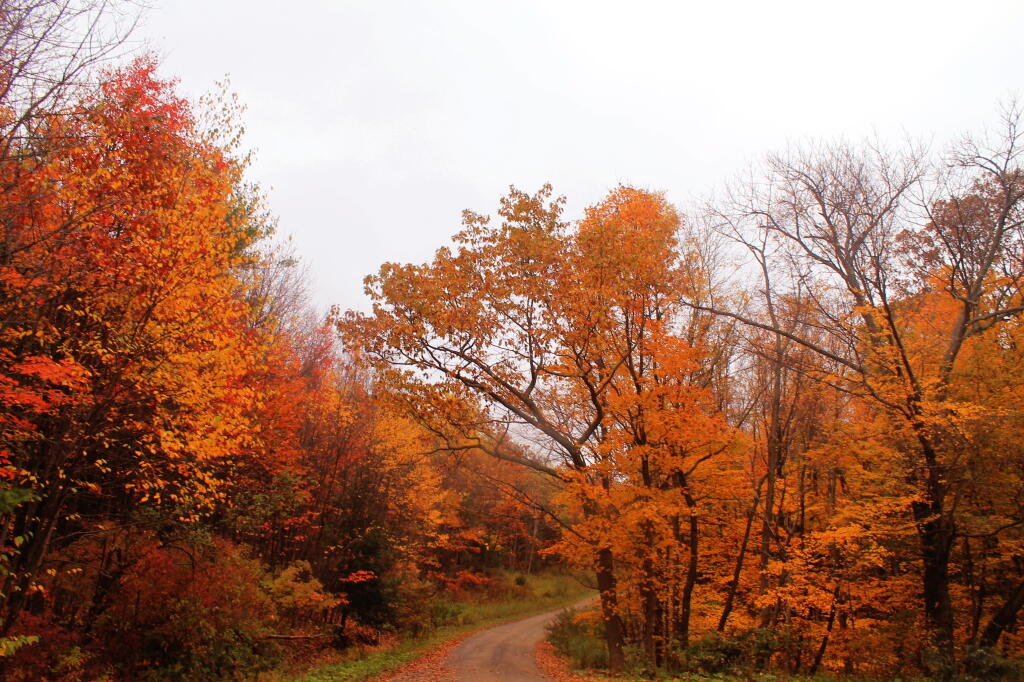Photo: Leaving Rattlesnake Hill