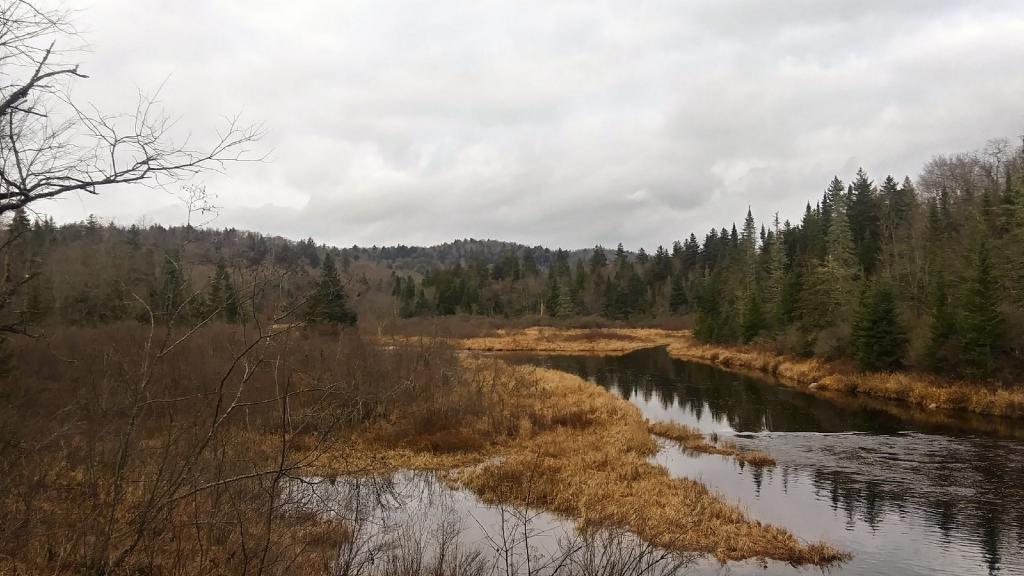 Photo: Dreary skies over the East Canada Creek