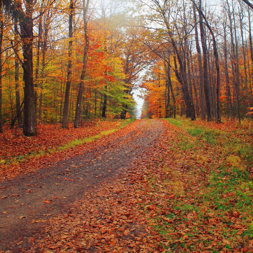 Photo: Karr Road