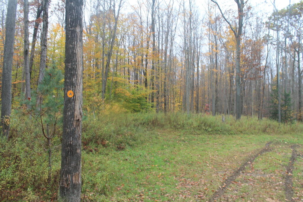 Photo: Campsite Photo: Campsite