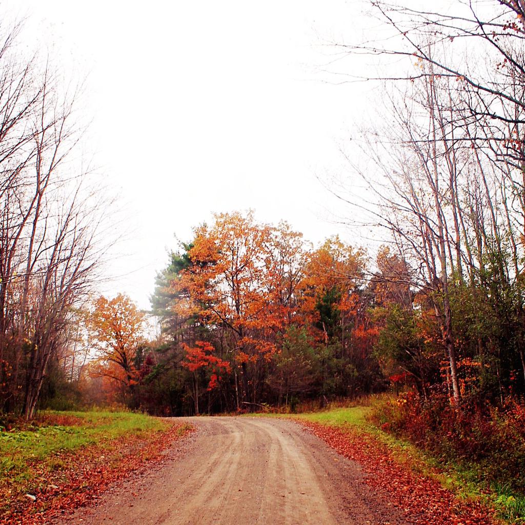 Photo: Bully Hill Road Photo: Bully Hill Road