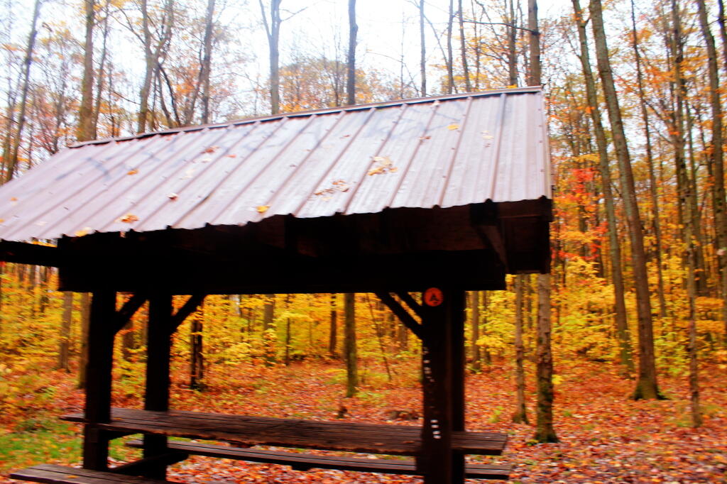 Photo: Camping Shelter