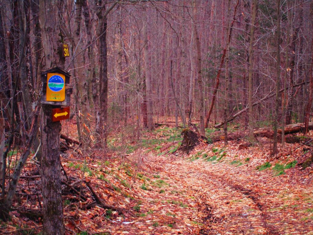 Photo: Trail 32