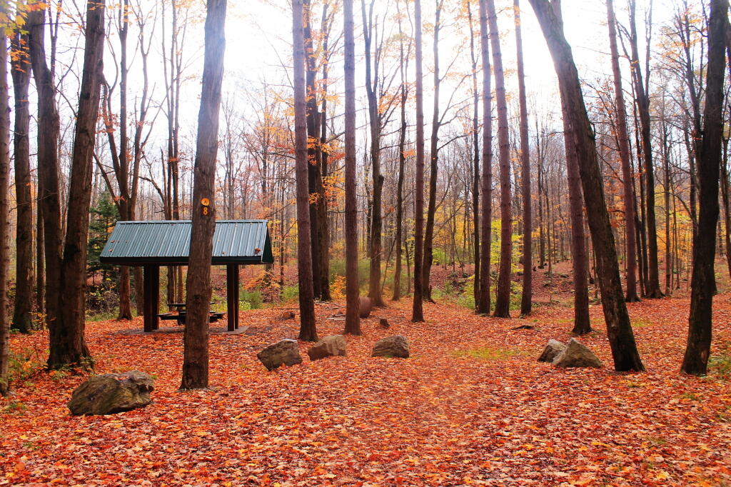 Photo: Campsite 8 Pavlion