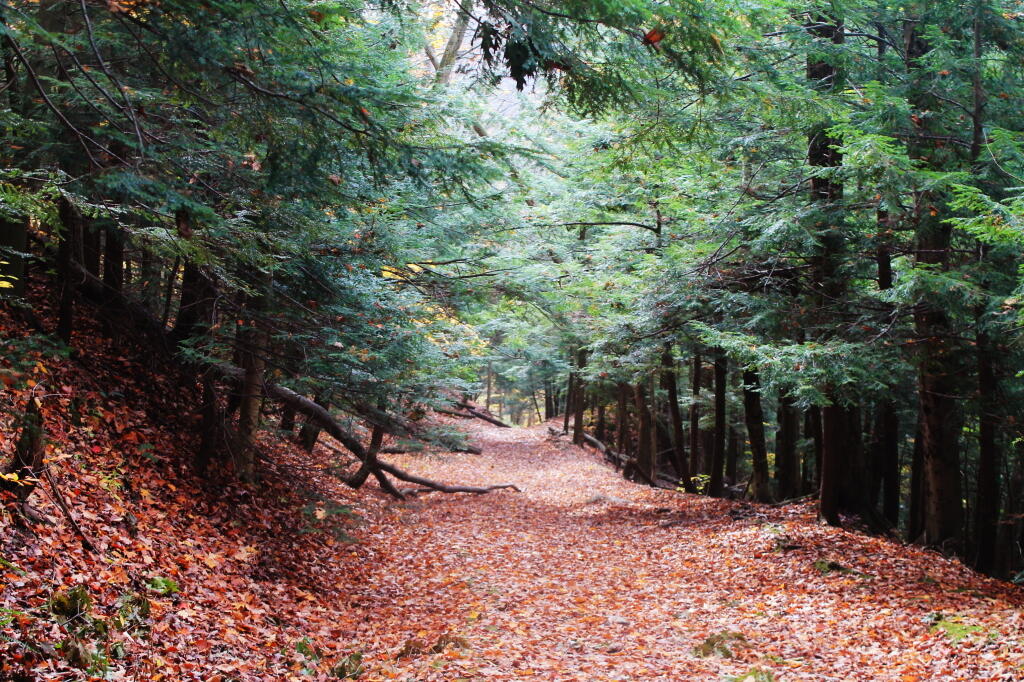 Photo: Dead End Gorge Trail Photo: Dead End Gorge Trail