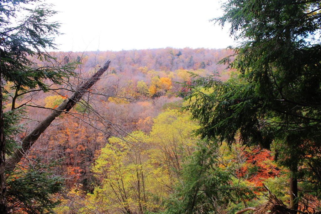 Photo: Gorge View 2