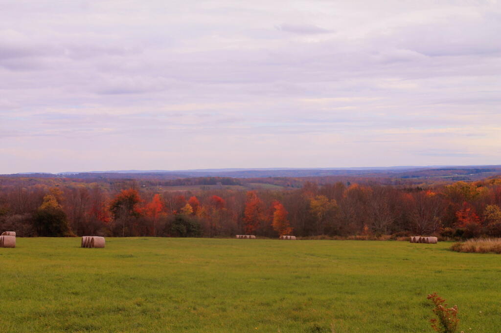 Photo: Near North Harmony State Forest