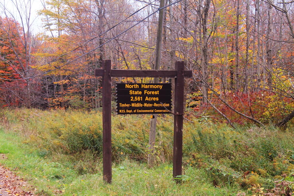 Photo: North Harmony State Forest