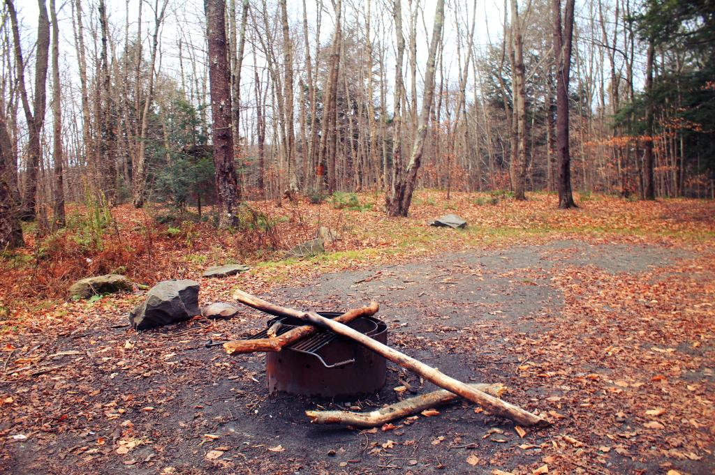 Photo: Accessible Campsite Along Russell Brook Road Photo: Accessible Campsite Along Russell Brook Road