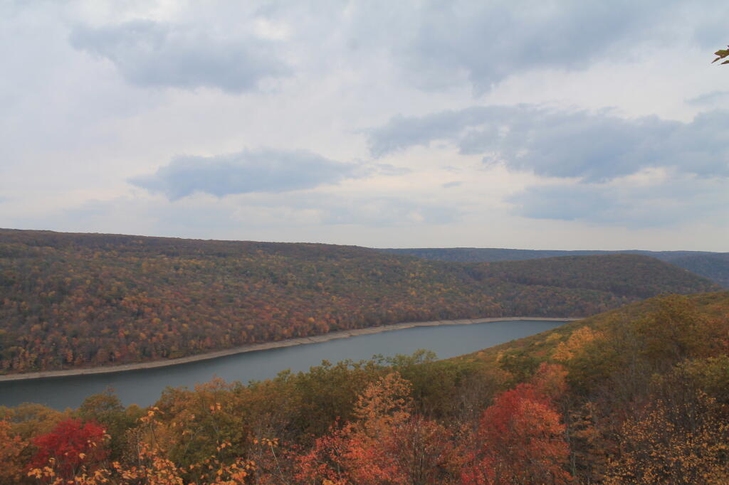 Photo: Allegheny River Snakes By
