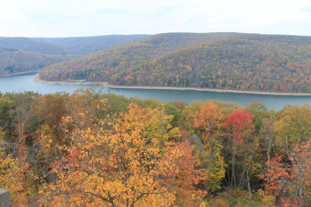 Photo: Fall Colors Photo: Fall Colors