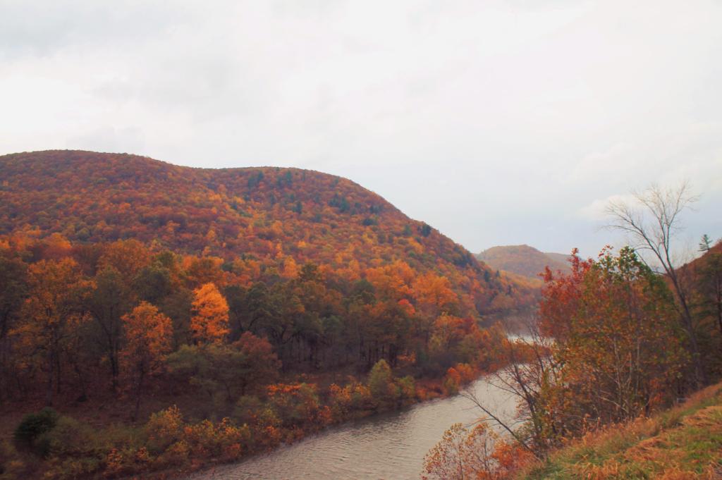 Photo: Beautiful West Branch of Susquehanna River