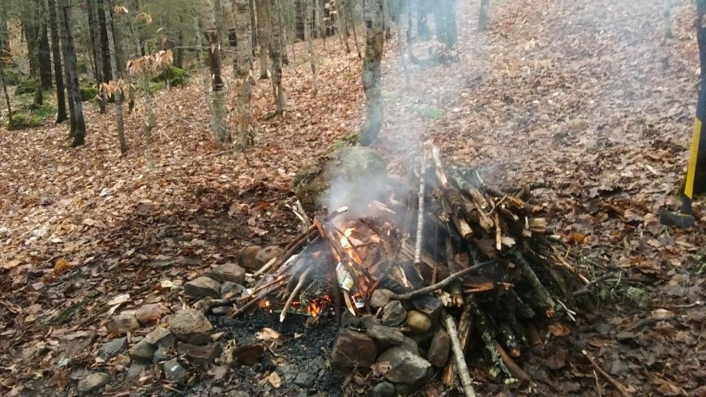 Photo: The wood was wet but eventually I got a good fire going 🔥