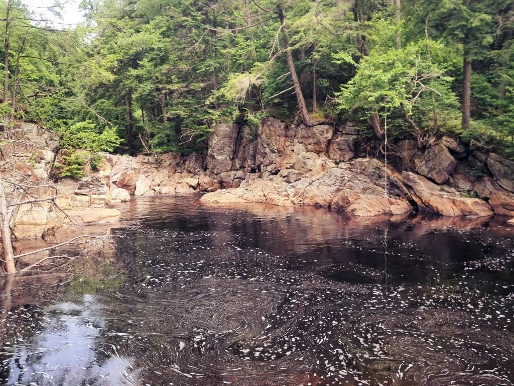Photo: Independence Weekend at Swimming Hole Off Old Edick Road