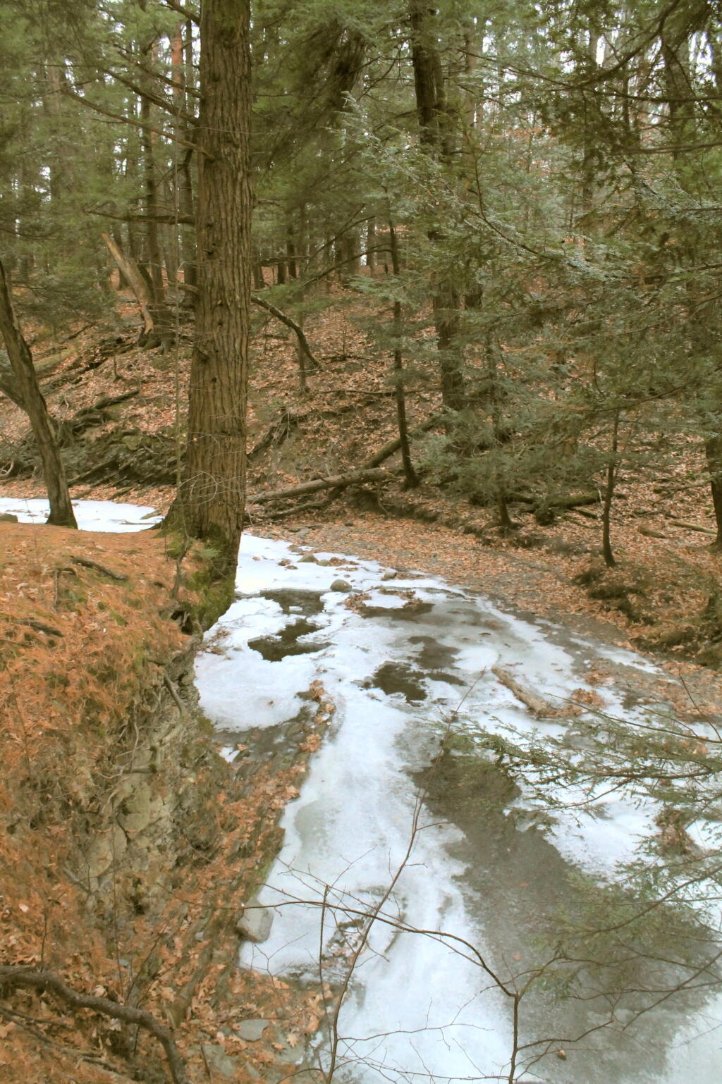 Photo: Vlomans Kill Carved Into Gorge
