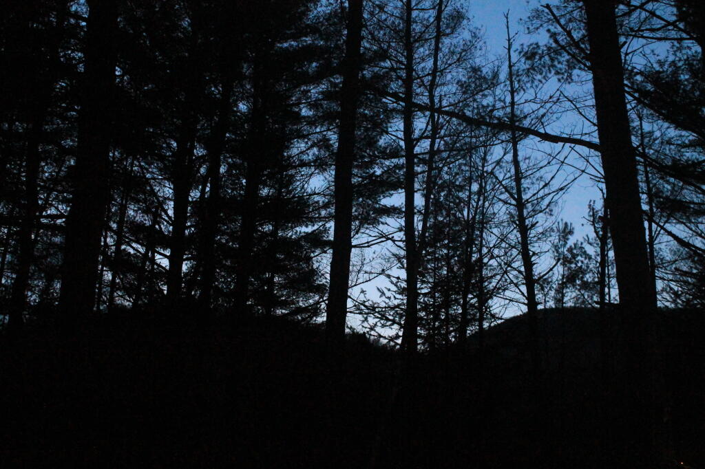 Photo: Darkness Sets In Over Siamese Pond Wilderness Photo: Darkness Sets In Over Siamese Pond Wilderness