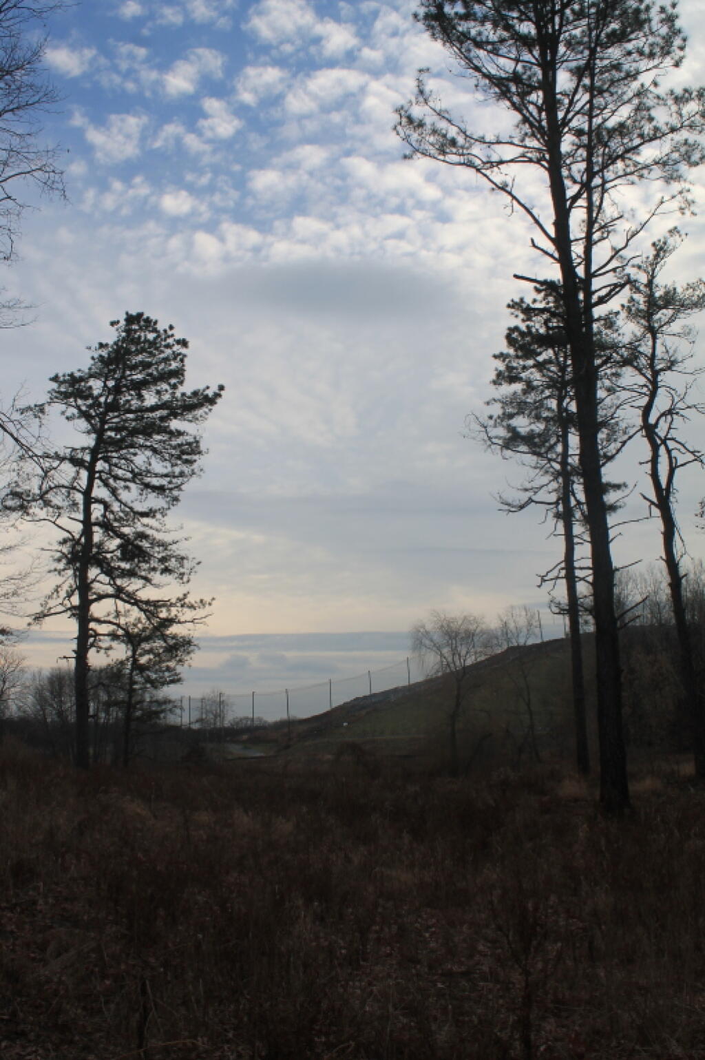 Photo: Landfill Fence in Distance