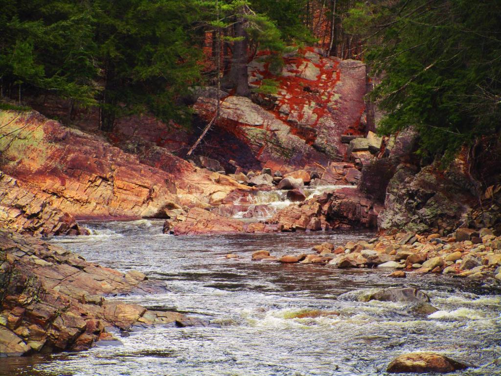 Photo: Below Griffin Falls Photo: Below Griffin Falls