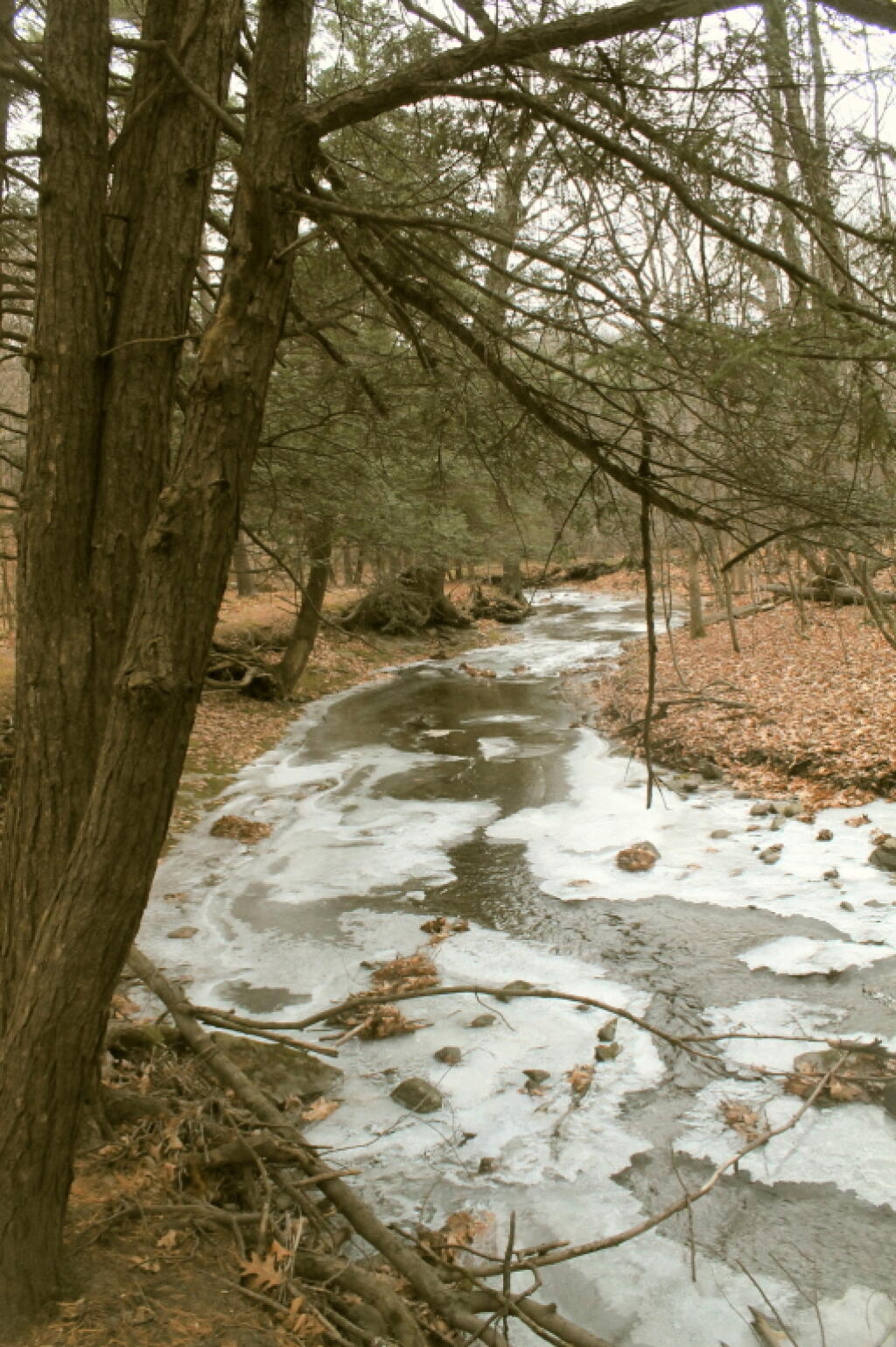 Photo: Walking Along Kill Edge