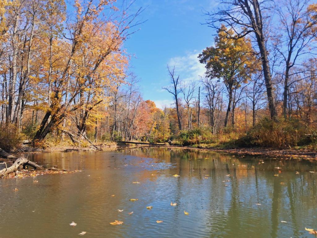 Photo: Paddling Up the Shadow Brook
