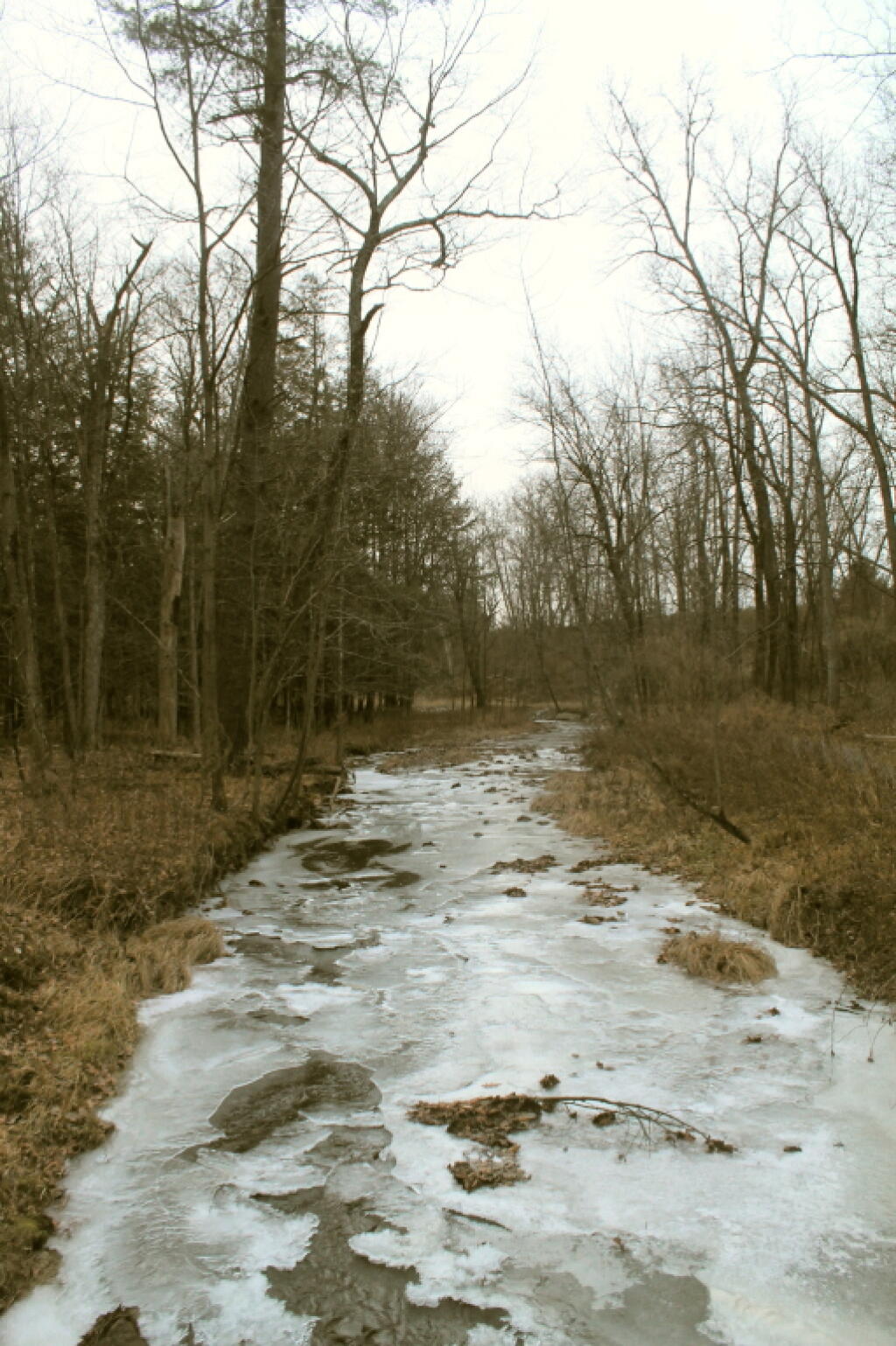 Photo: Ice on the Vloman Kill