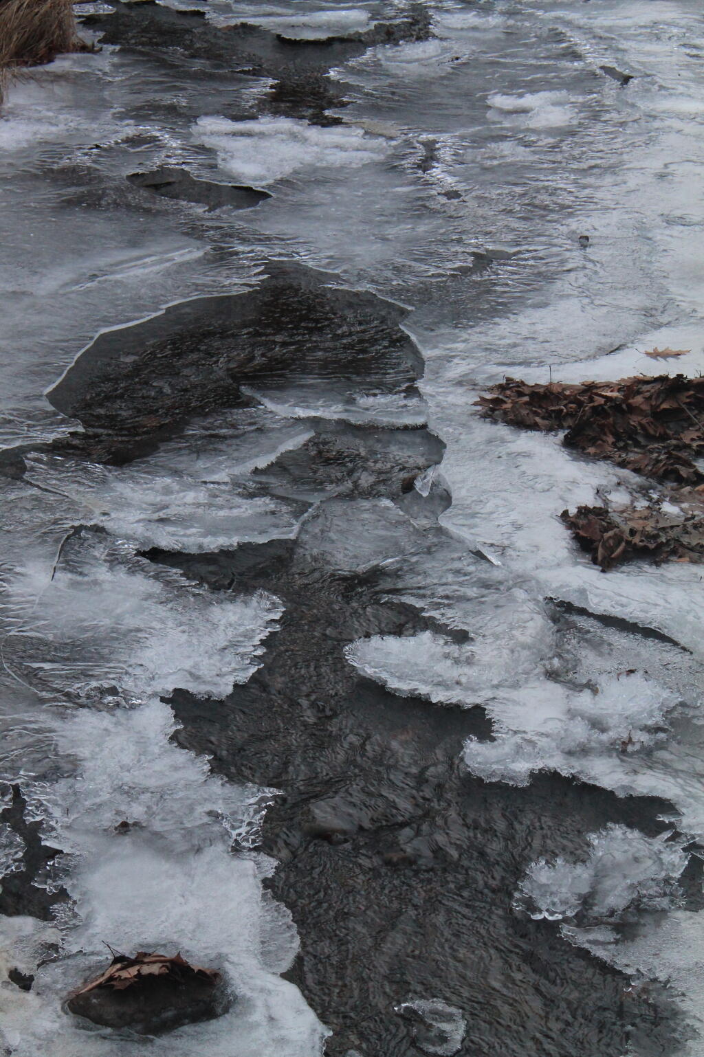 Photo: Ice on the Vloman Kill