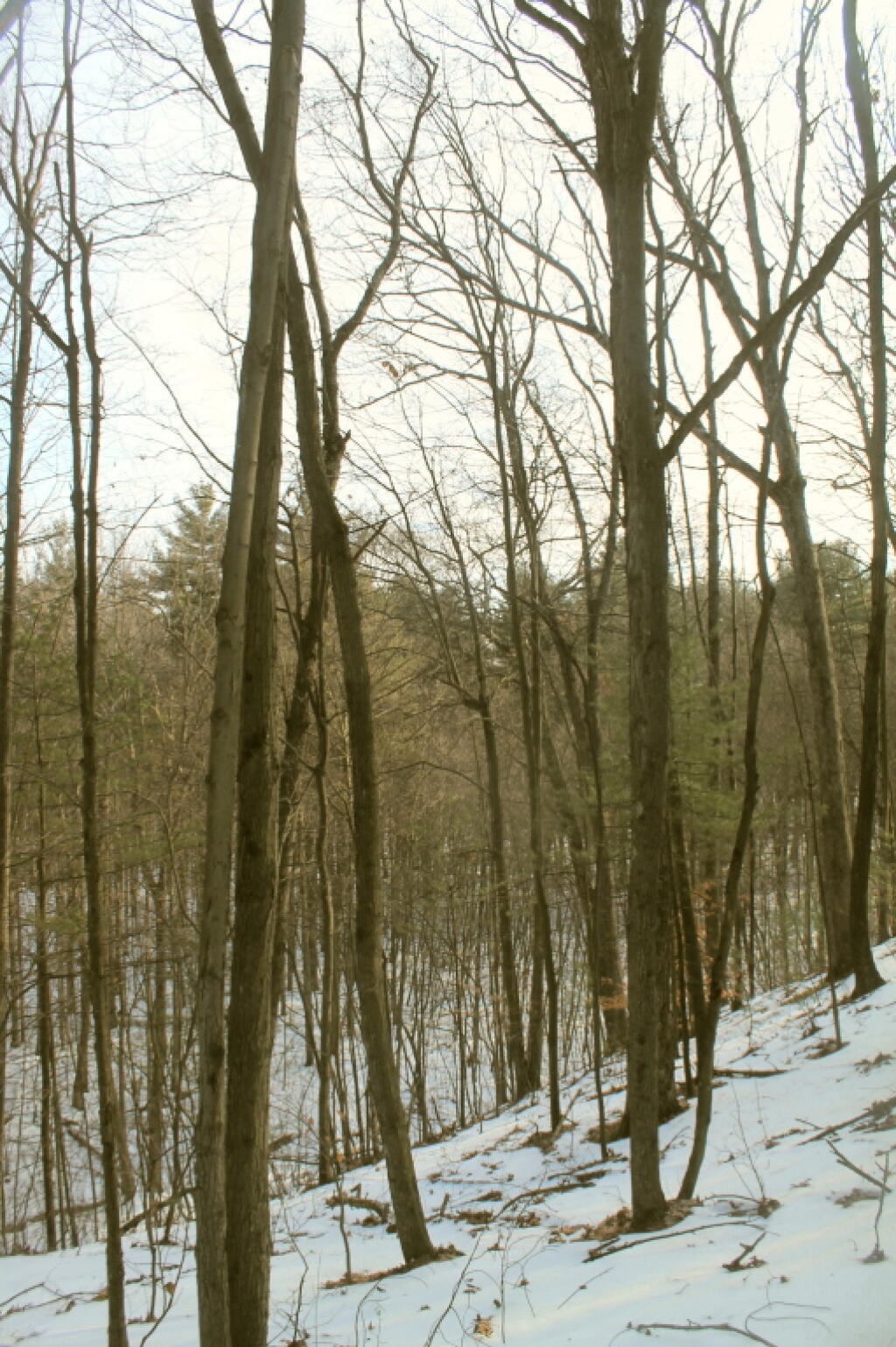 Photo: Hunger Kill Tributary