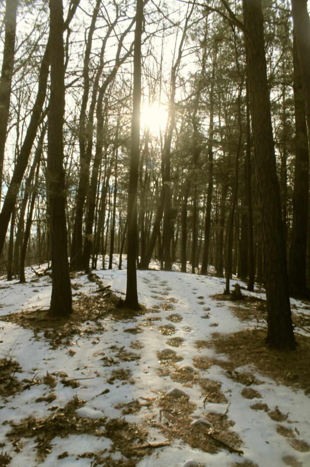 Photo: Sun is Low This Time of Year Photo: Sun is Low This Time of Year