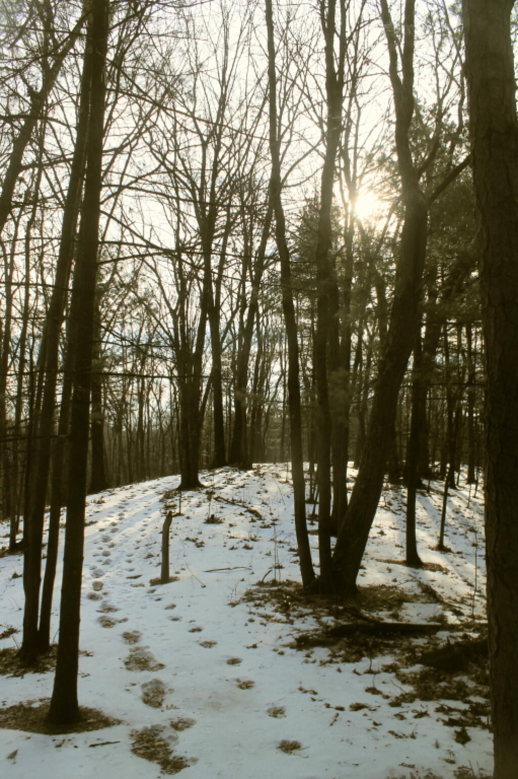 Photo: Bend