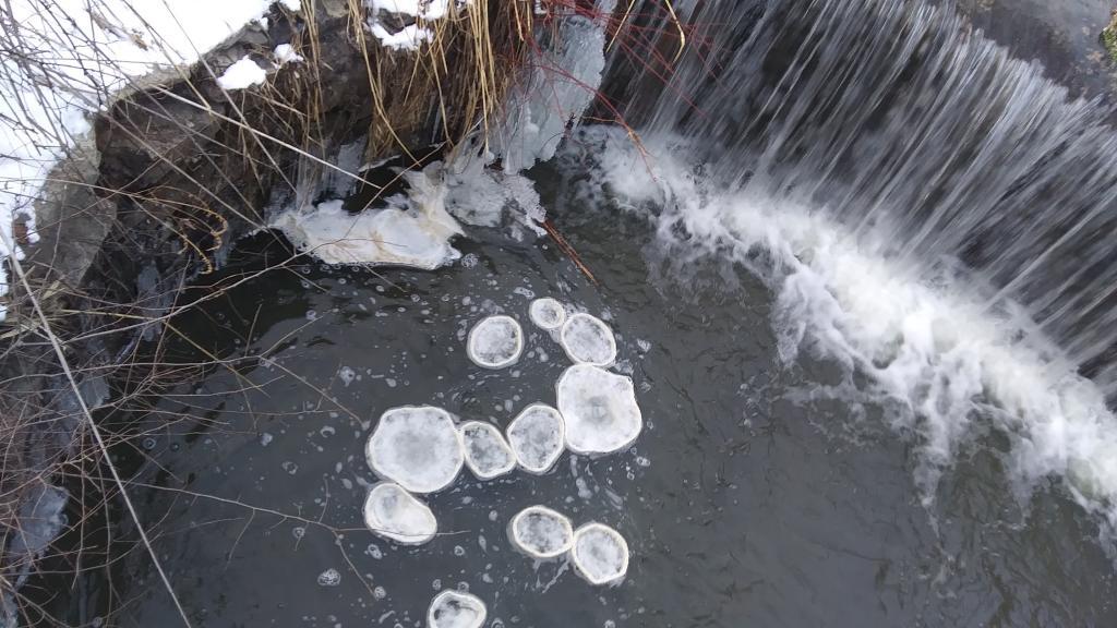 Photo: Will it go round in circles? Photo: Will it go round in circles?
