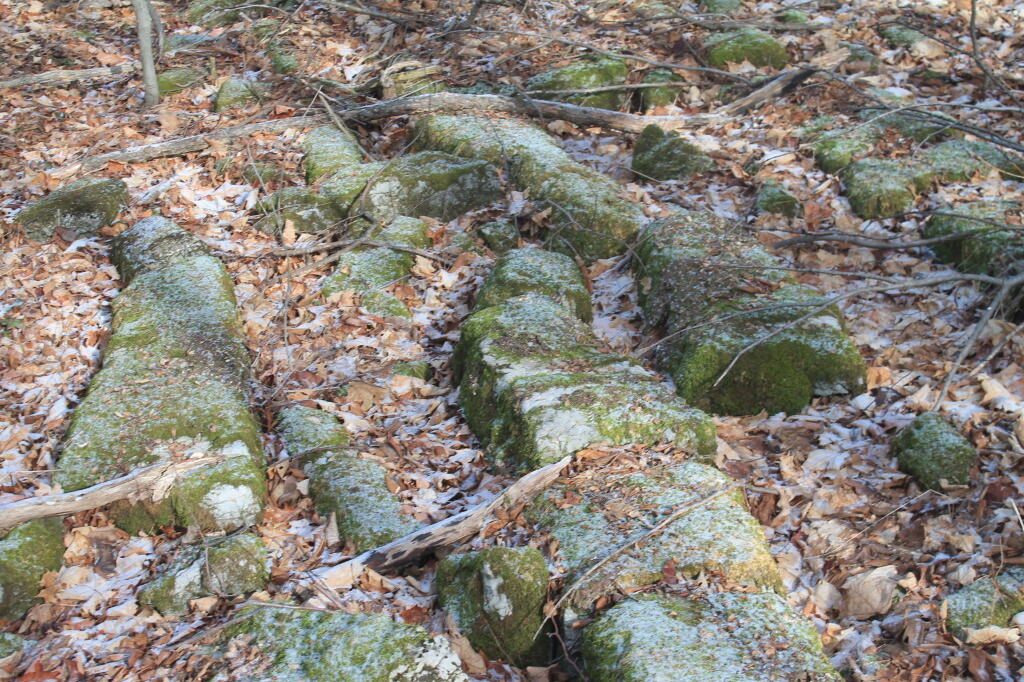 Photo: Interesting Rock Formation Along Trail