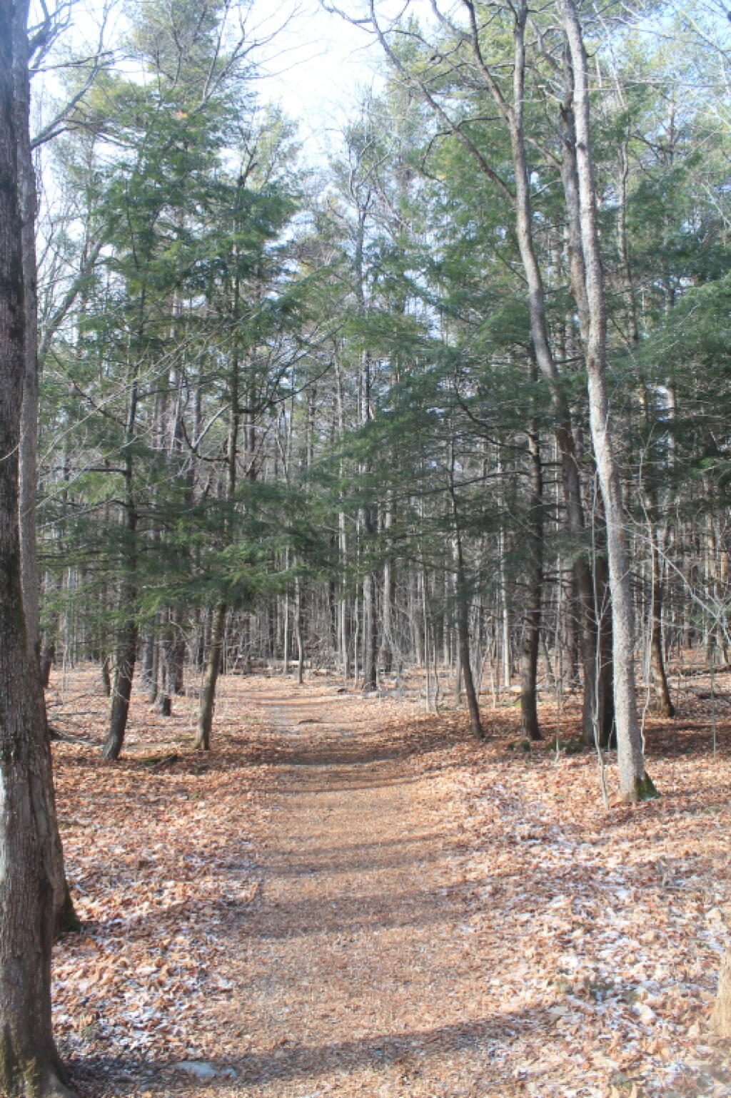Photo: Powerline Trail Photo: Powerline Trail