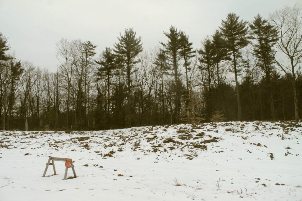 Photo: No Tresspassing. Tall White Pines Are Where Albany Pine Bush Begins