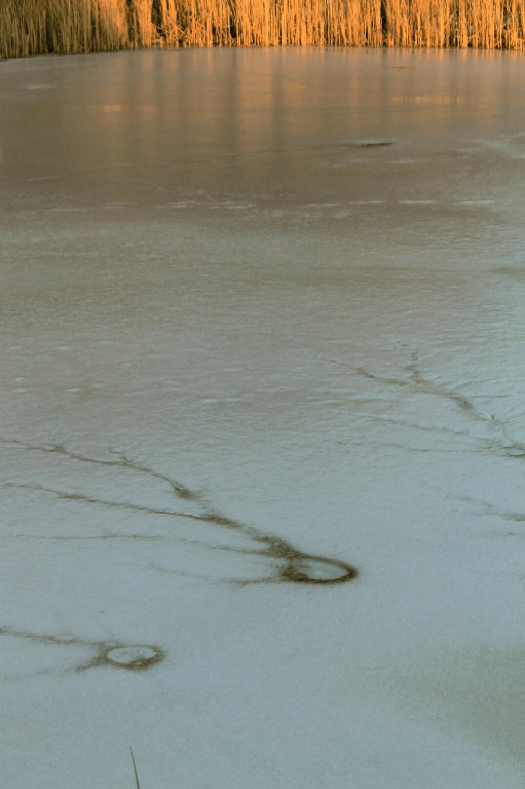 Photo: Research Pond No. 3