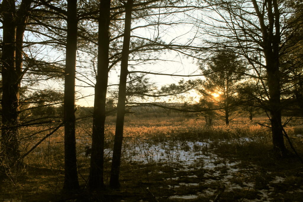 Photo: Little Snow Left Photo: Little Snow Left