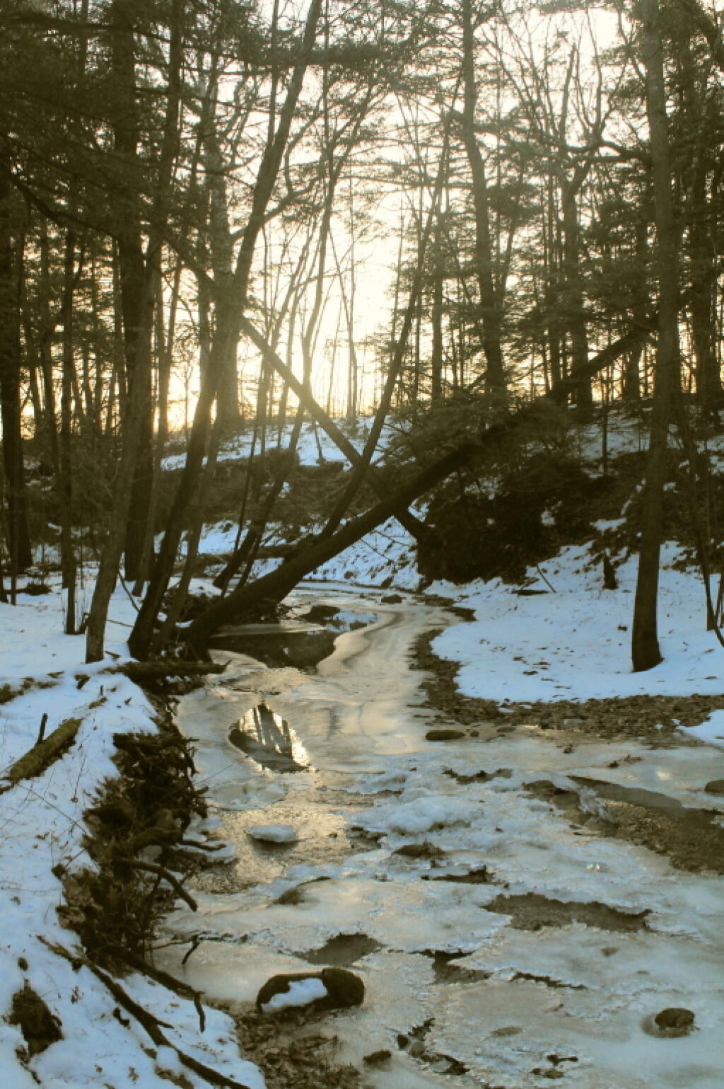 Photo: Wintery Scene Photo: Wintery Scene