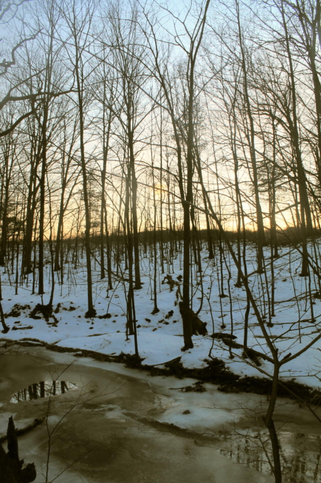 Photo: Vlomans Kill at Dusk
