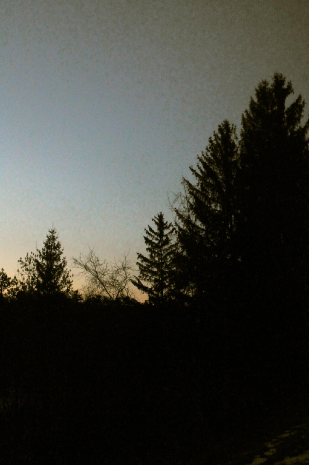 Photo: Last Light of the Day Photo: Last Light of the Day
