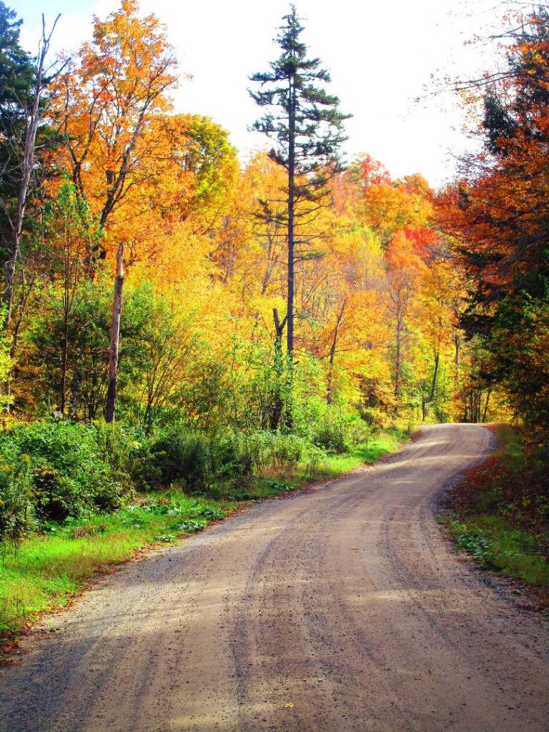 Photo: Jessup River Road Photo: Jessup River Road
