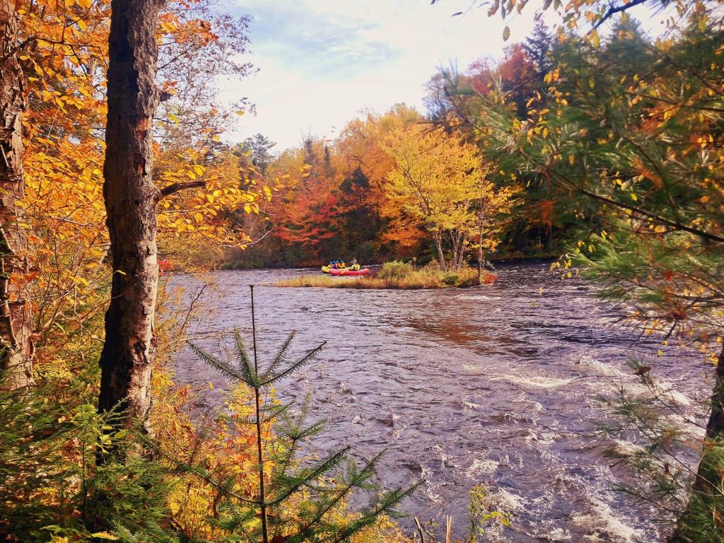 Photo: Along the Indian River
