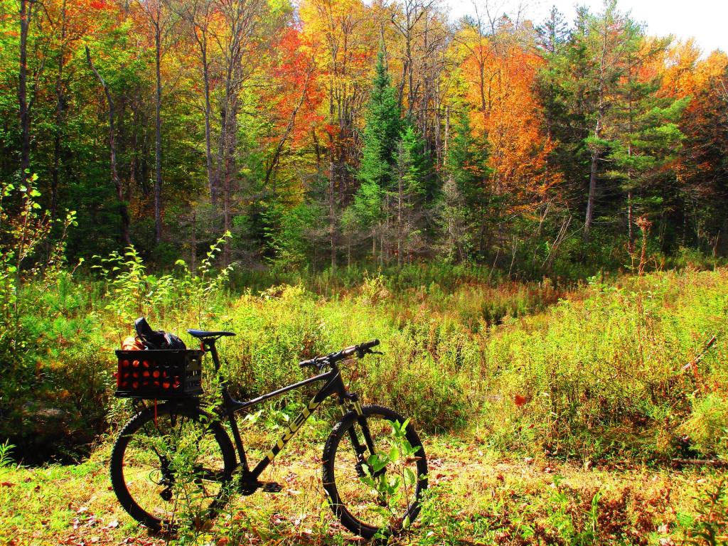 Photo: Riding Along Chain Lakes Road