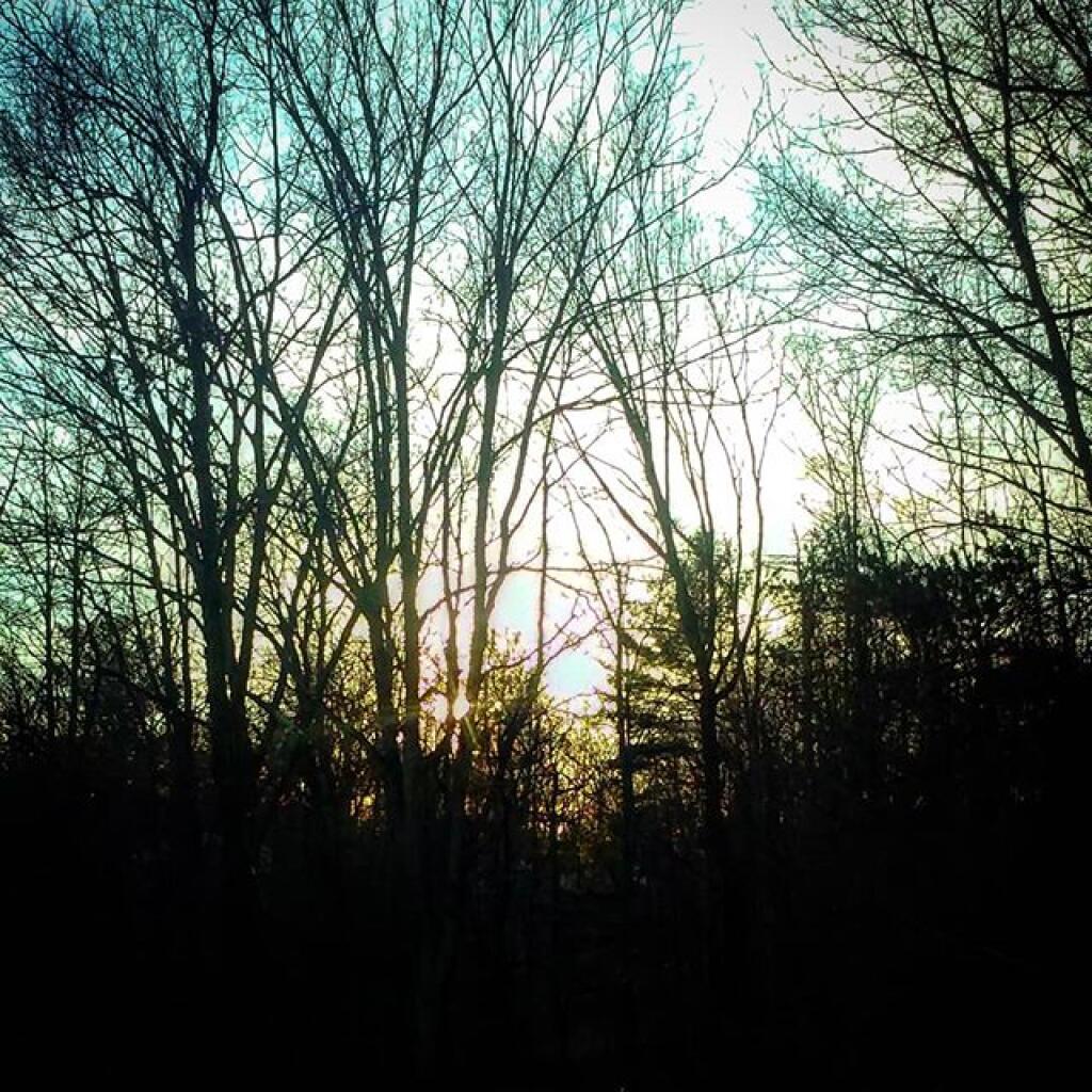 Photo: Along the rail trail
