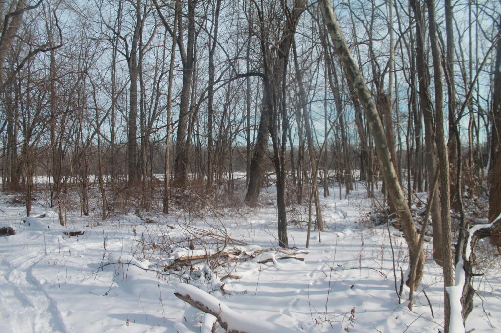 Photo: Down to the River