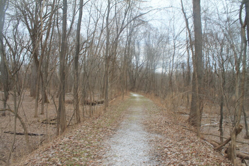Photo: Spoils Path