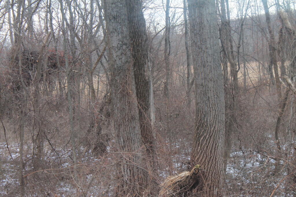 Photo: Marshlands Photo: Marshlands