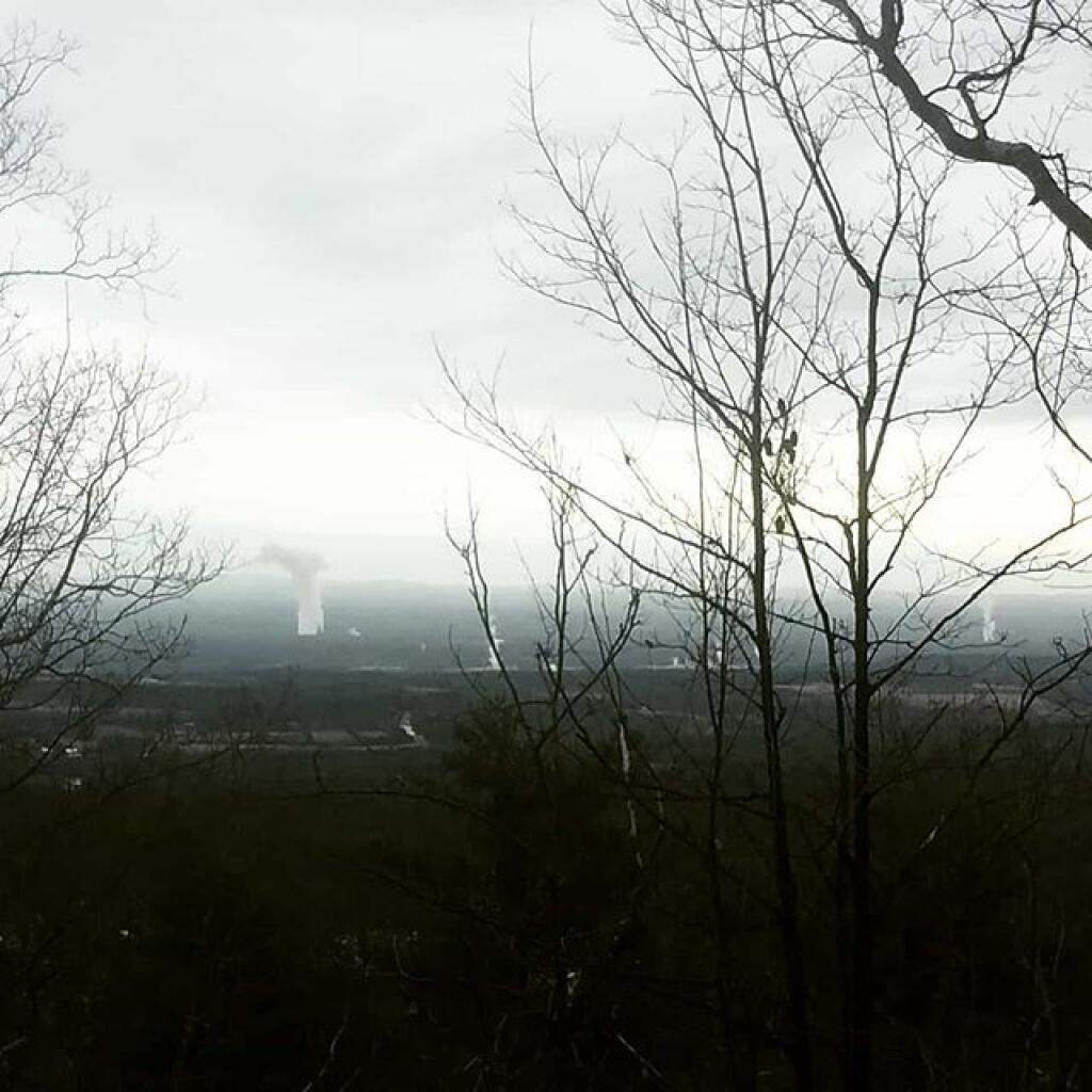 Photo: Smoke rises from the plants below